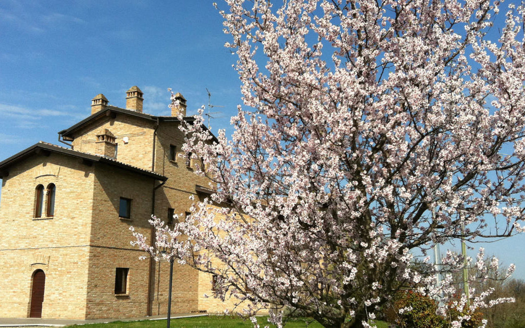 Il Pranzo delle Festività Pasquali all’Agriturismo La Roveda